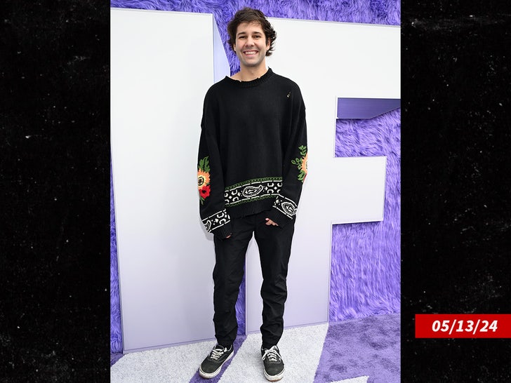 David Dobrik Sub Getty Swipe