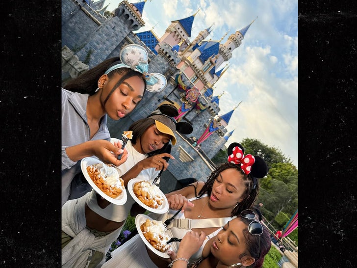 0604-NORNLL-PIJNEE-Disneyland-USB