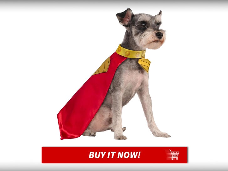 For your Superman loving dog ... here's a pup-erific Krypto Pet Halloween Costume!