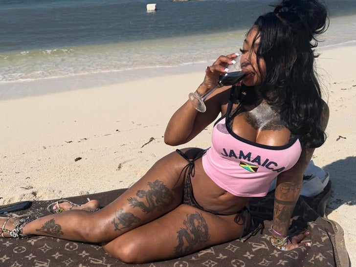 0216-verão-caminhante-de-praia-babe-sub1_720