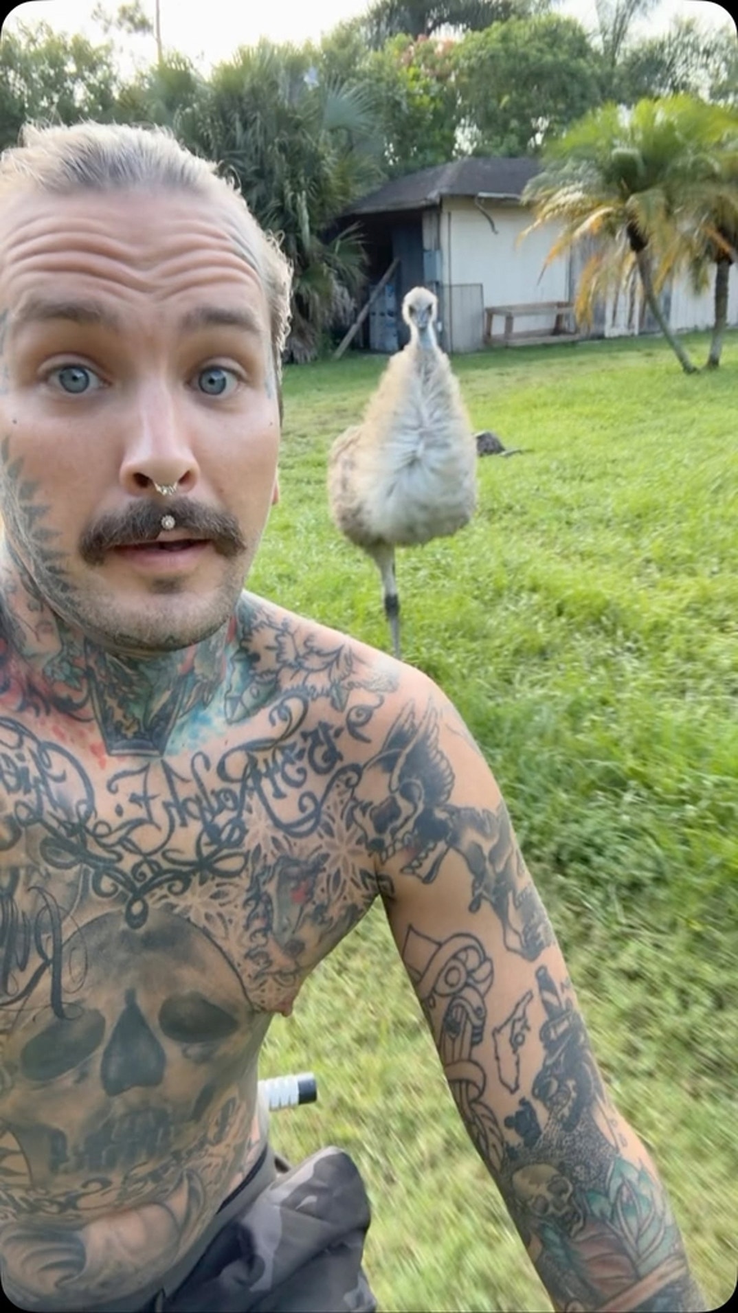 Tyler Noal Through The Years 3