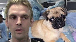 Aaron Carter Denies Dog Abuse Allegations, Rescue Offers $10k For Pug