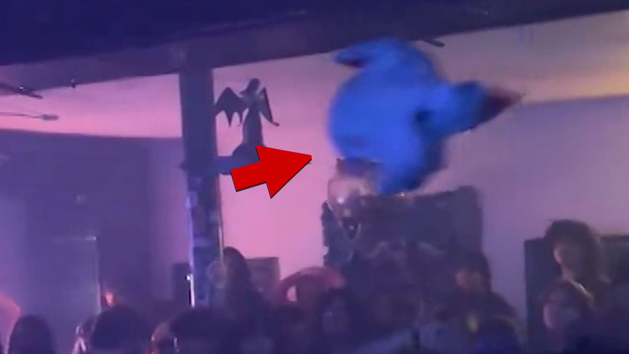 Black Metal Band Faces Backlash For Throwing Pig s Head In Crowd