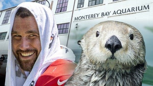 travis kelce and sea otters getty 1