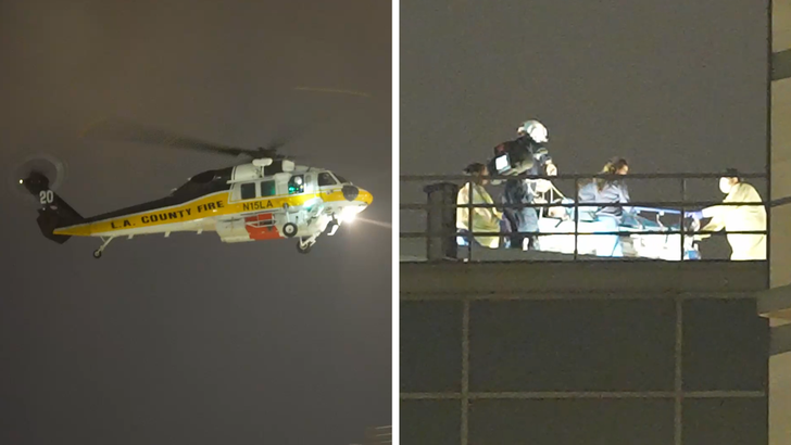100126 avalon helicopter crash kal