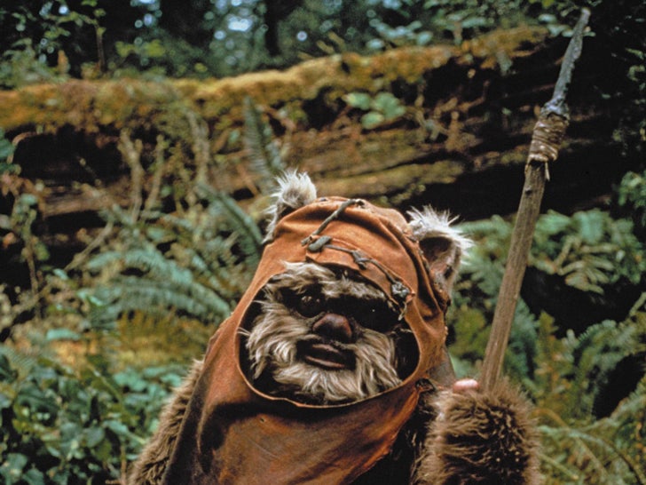 Warwick Davis played the role of Ewok Wicket