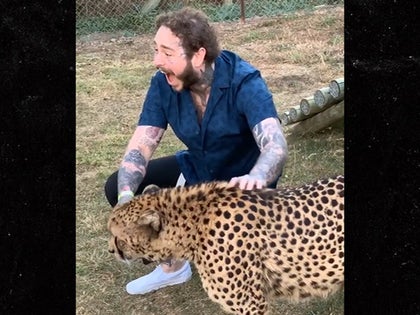 061919_post_malone_primary