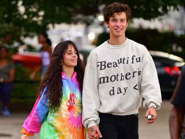 Shawn Mendes and Camila Cabello Fully Back Together After Coachella Hookup