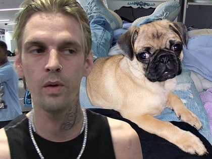 0723-aaron-carter-nala-main-tmz-insta