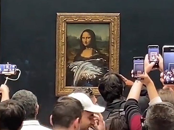 Mona Lisa Sex - Man in Wheelchair Disguised as Woman Throws Cake at Mona Lisa | The Paradise