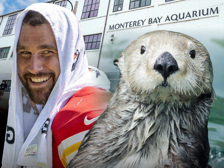 Travis Kelce e Otters Sea Getty 1