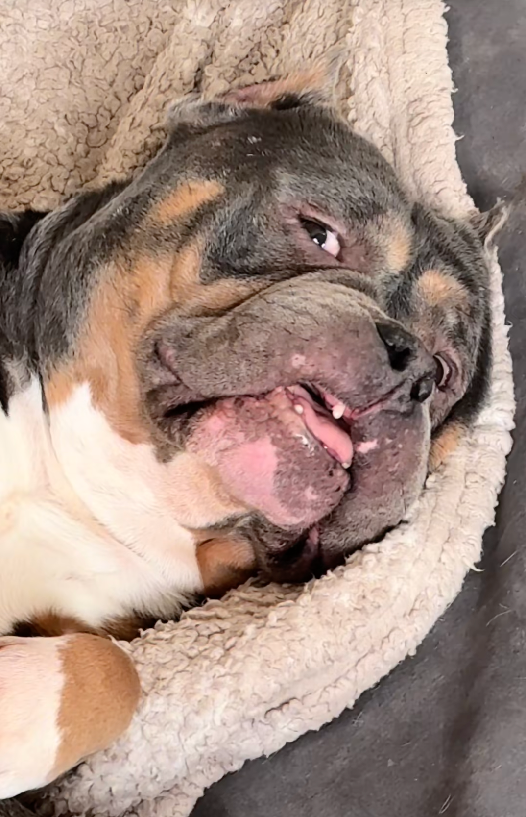 Screenshot 2025-12-25 at 5.42.09 AM