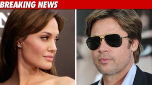 Brad and Angelina Settle 'Break Up' Lawsuit