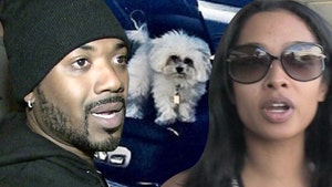 Ray J and Princess Love Sued Over $20,000 Reward for Lost Dog