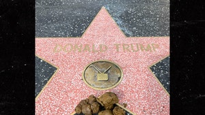 Donald Trump's Hollywood Walk of Fame Star Covered in Dog Poop