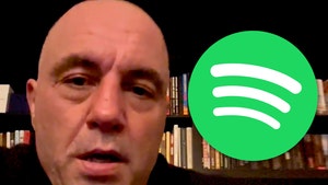 Spotify Stands By Joe Rogan, Donates $100M to Marginalized Groups