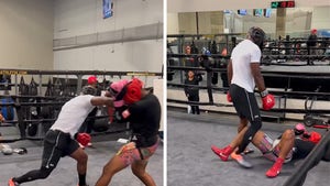 Adrian Peterson Flattens Opponent With Huge Right Hand In Sparring Sesh