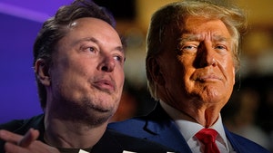 elon musk and donald trump