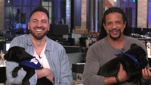 012925_puppy_bowl_tmz_live-primary