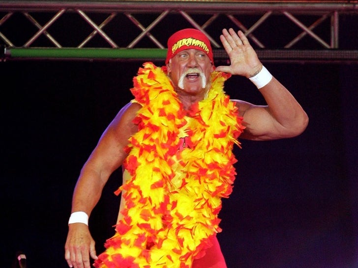 Hulk Hogan Wrestling