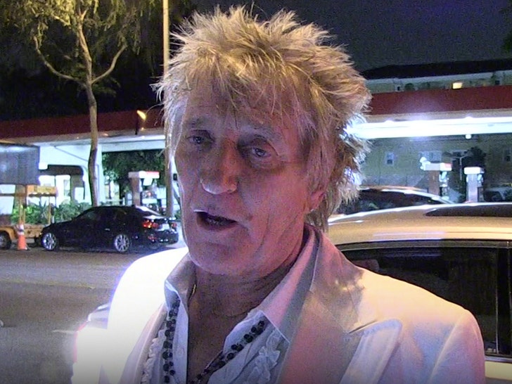 Rod Stewart Cancels Show in Australia Due to Viral Infection