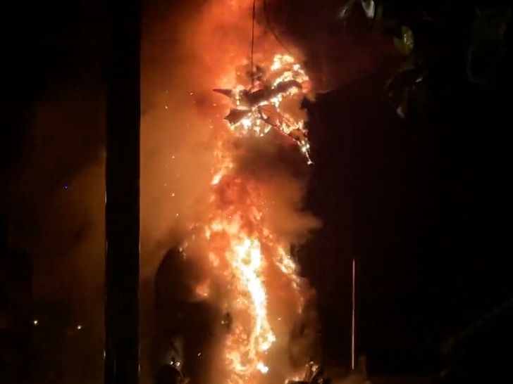 Disneyland’s Tom Sawyer Island Dragon Goes Up In Flames (tmz.com)