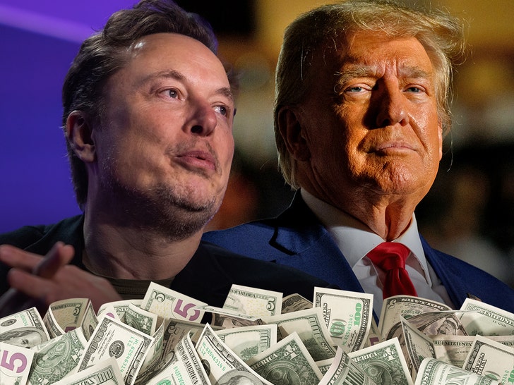 elon musk and donald trump