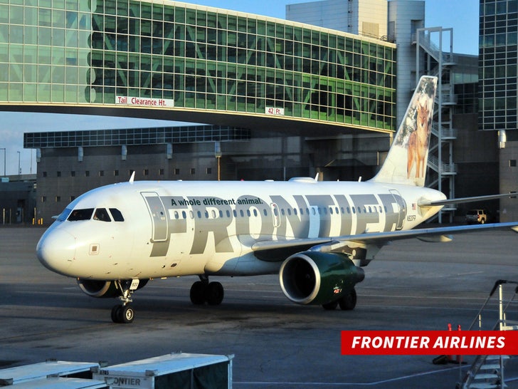 Frontier Airlines plane sub