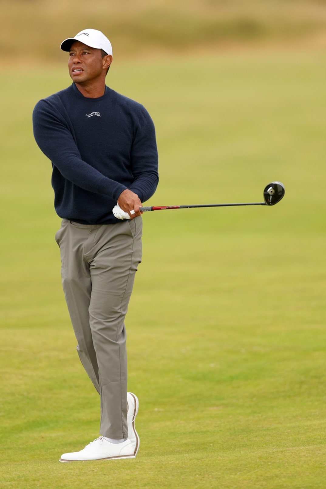 Tiger Woods Swingin Shots 2