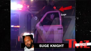 Suge Knight -- I Don't Care Who Shot Me