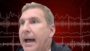 Todd Chrisley Sued Over Podcast Remarks About Tax Investigator