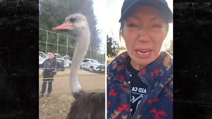 092425_ostrich_farm_arrest_kal