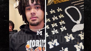 michigan-chains-primary-04-07-2026