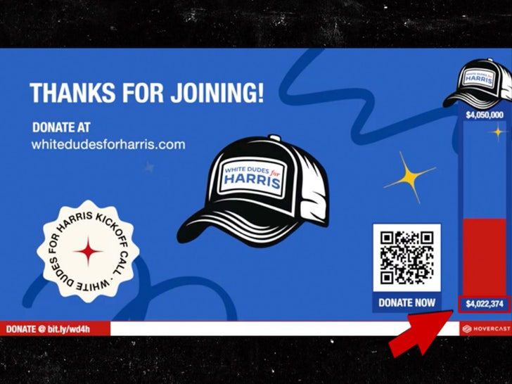 white dude for harris amount raised sub