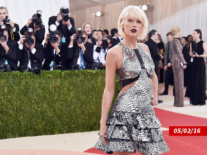 Taylor Swift met Gala 2016