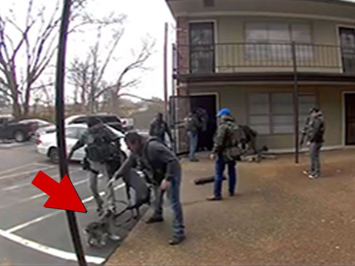 020626_us_marshals_memphis_dog