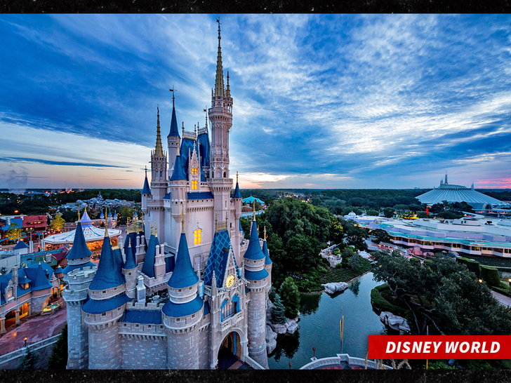 sub disney world getty