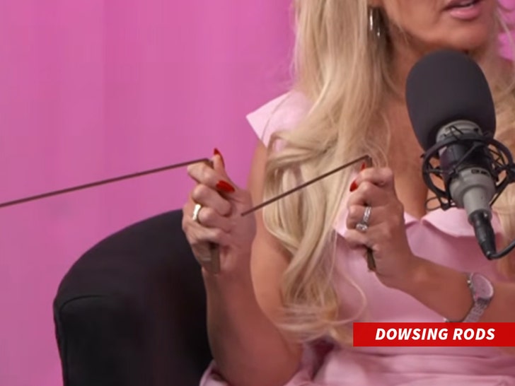 Dowsing-Rods-tmz-1