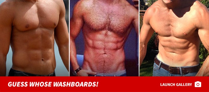 Celebrity Six Packs -- Guess the Washboards!