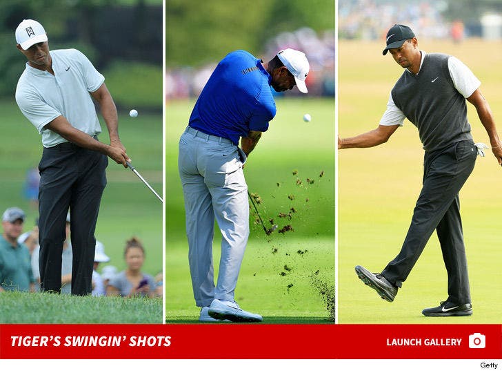 Tiger Woods Swingin' Shots