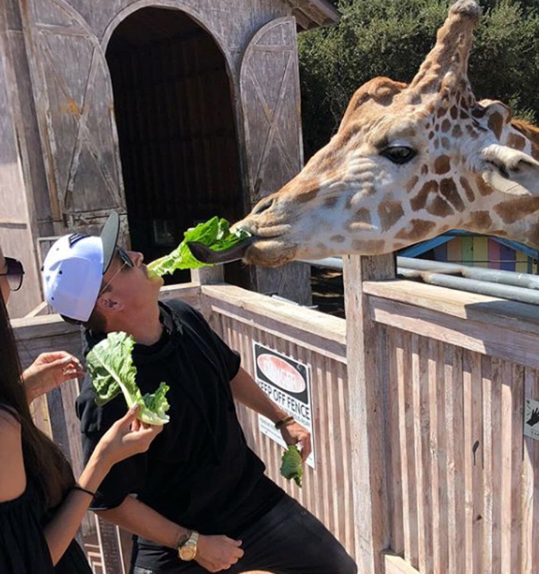 Rob Dyrdek