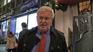 Newt Gingrich -- Sony Hacking Is An Act of War ... We Need to Hunt Them Down