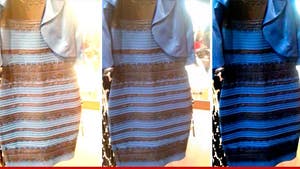 #TheDress -- Blue/Black, White/Gold ... Sales are Through the Roof!!!
