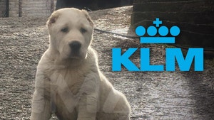 Family of Dead Dog Demands Answers from Air France-KLM