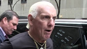 Ric Flair Surgery Postponed Due to 'Complications'