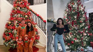 Celebrity Christmas Trees 2020