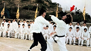 0131-bruce lee fighting alamy