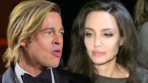 Brad Pitt Sues Angelina Jolie for Selling Winery Interest to Russian Oligarch