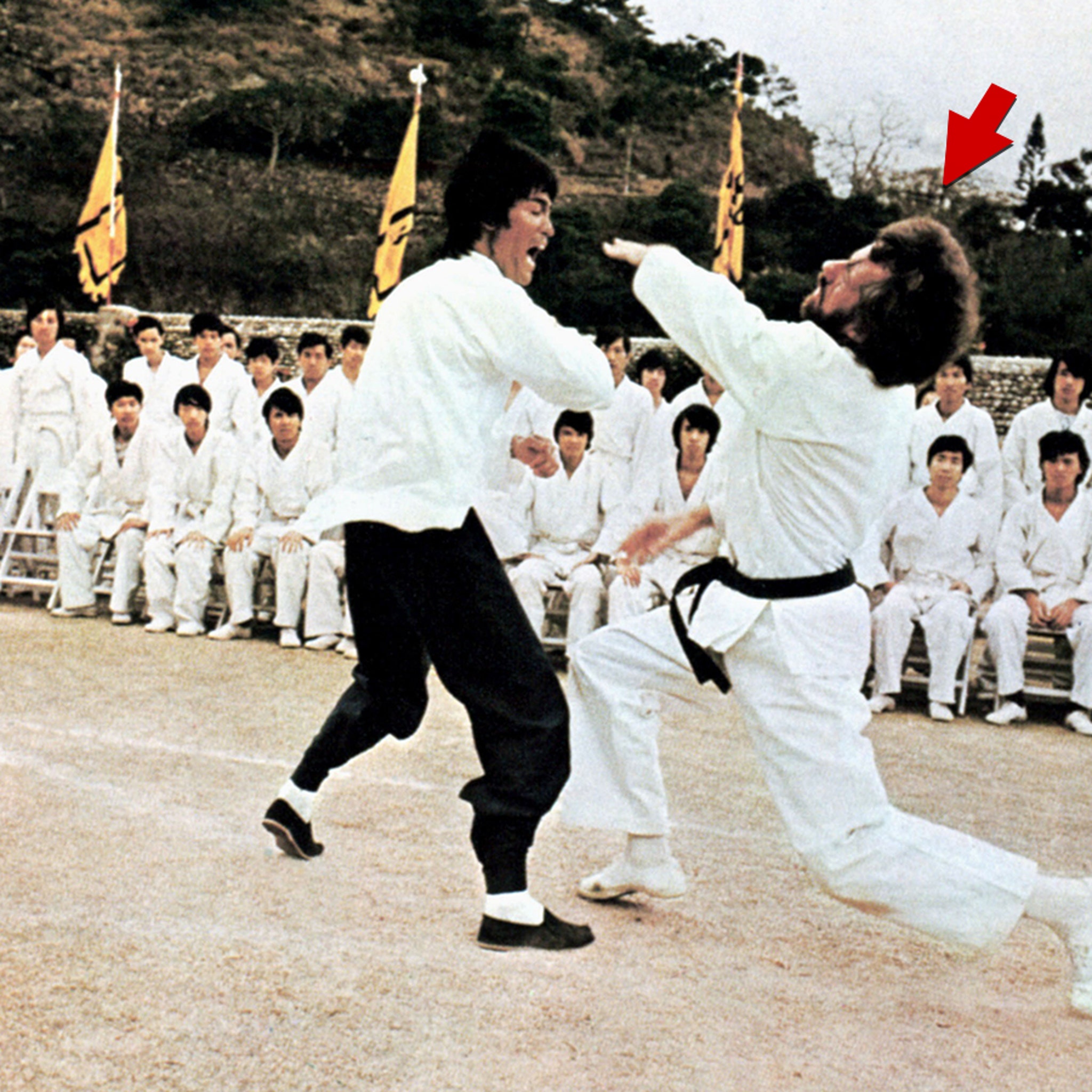Martial Arts Master Bob Wall, Acted W/ Bruce Lee In 'Enter The Dragon' Dead  At 82