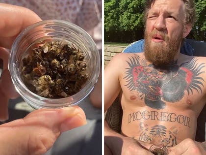 060120-conor-mcgregor-Bees-primary